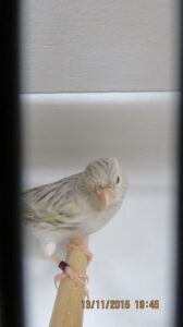 IMG_0400
