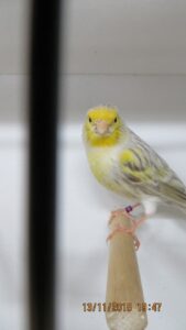 IMG_0407