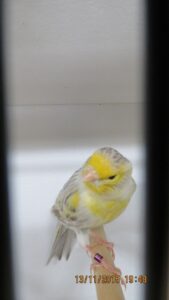 IMG_0410