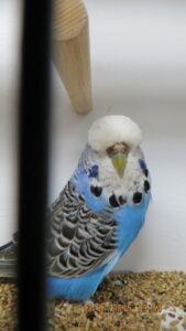 IMG_0435