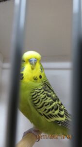 IMG_0437