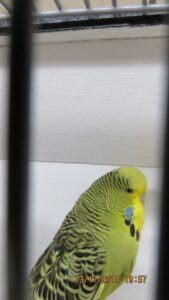 IMG_0445