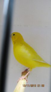 IMG_0462