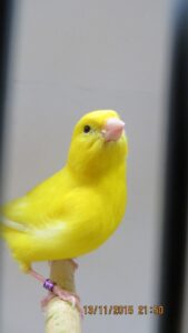 IMG_0463