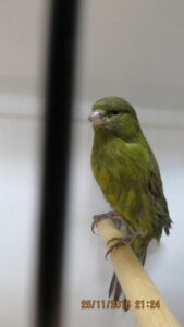 IMG_0479