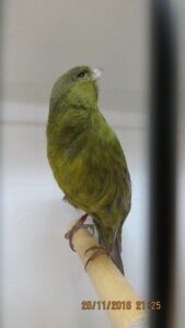IMG_0483