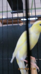 IMG_0486