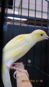 IMG_0487