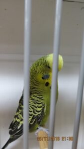 IMG_0489