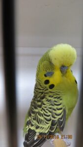 IMG_0490