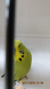 IMG_0508