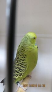 IMG_0509