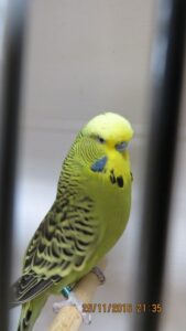 IMG_0510