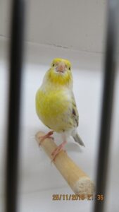 IMG_0514