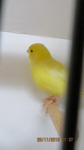 IMG_0517