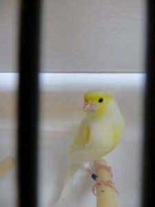 IMG_0579