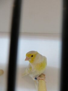 IMG_0583