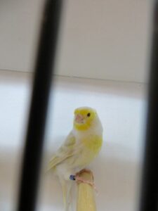 IMG_0584