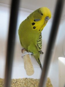 IMG_0605
