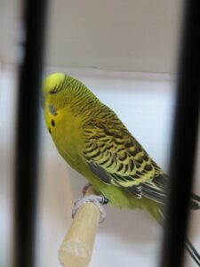 IMG_0607
