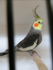 IMG_0613