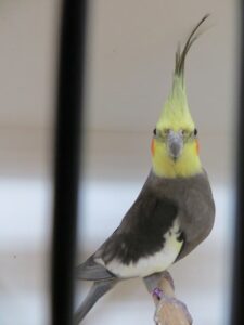 IMG_0614