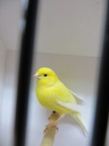 IMG_0617