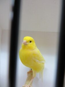 IMG_0618