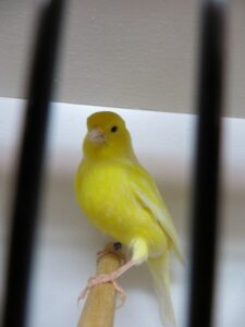IMG_0619