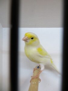 IMG_0622