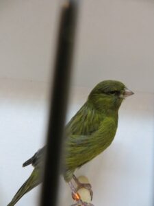 IMG_0632