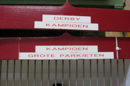 derby kampioen /  kampioen grote parkieten