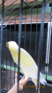 img_0177