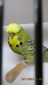 img_0184