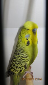 img_0186
