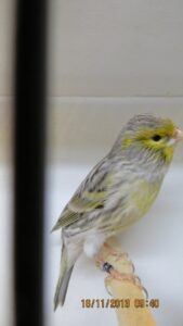img_0197