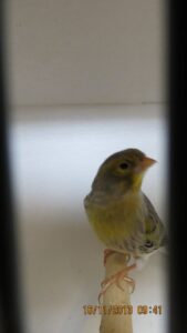 img_0199