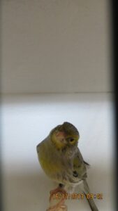 img_0201