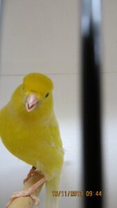 img_0209