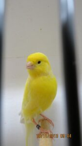 img_0210