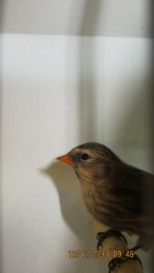 img_0216