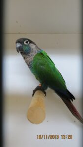 img_0244