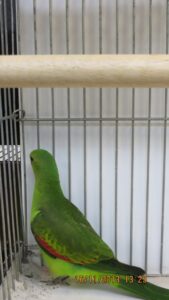 img_0247