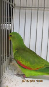 img_0250