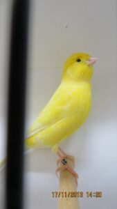 img_0262