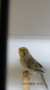img_0264