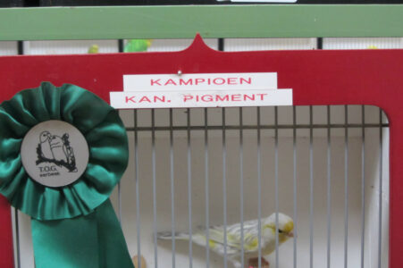 vogelshow-2012-001
