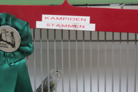 vogelshow-2012-002