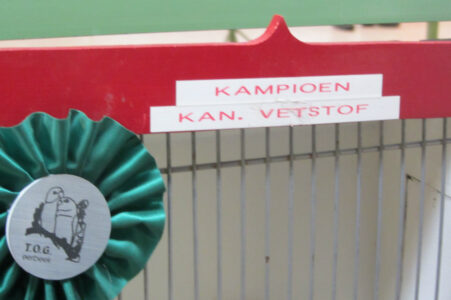 vogelshow-2012-003