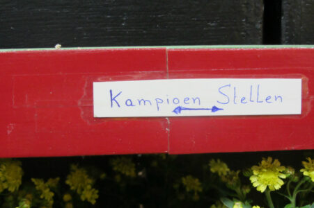 vogelshow-2012-009